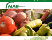 Tablet Screenshot of aiab.it